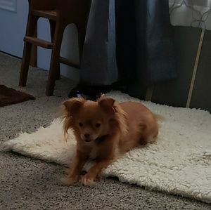 Meet your Posher, Kim